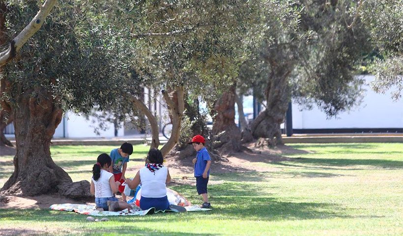 Parques en Lima Norte donde puedes hacer un picnic